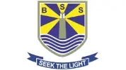 bss-image